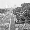 souvenirs en noir et blanc (641)